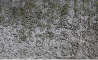 photo texture of wall stucco dirty